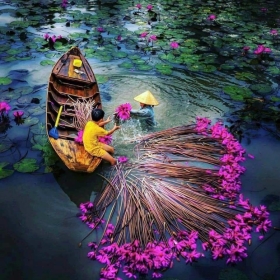 Ấn tượng miền Tây trong mắt người Hà Nội