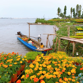 Ba làng hoa rực rỡ nhất miền Tây ngày cận Tết